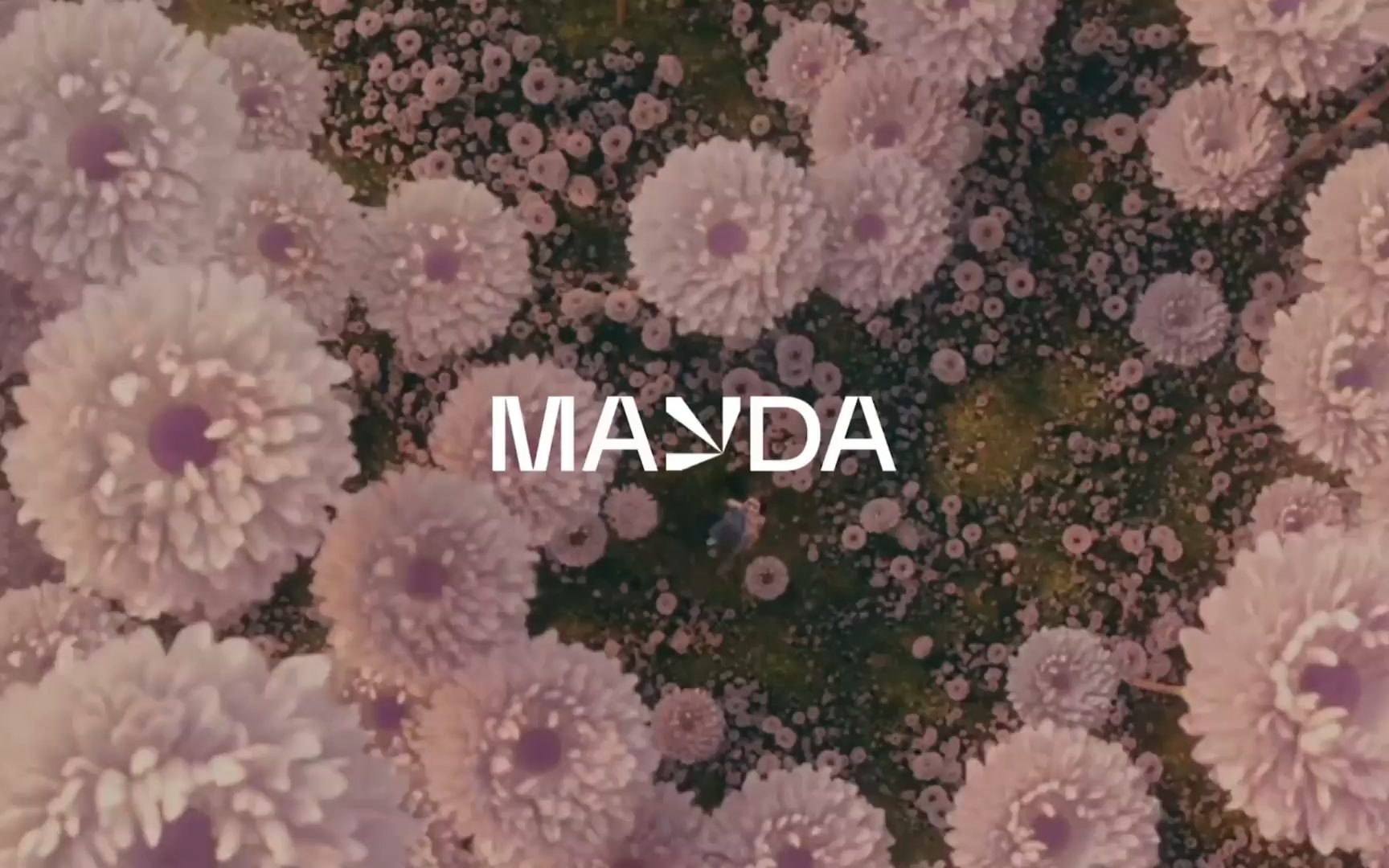 Mayda by Studio Kiln